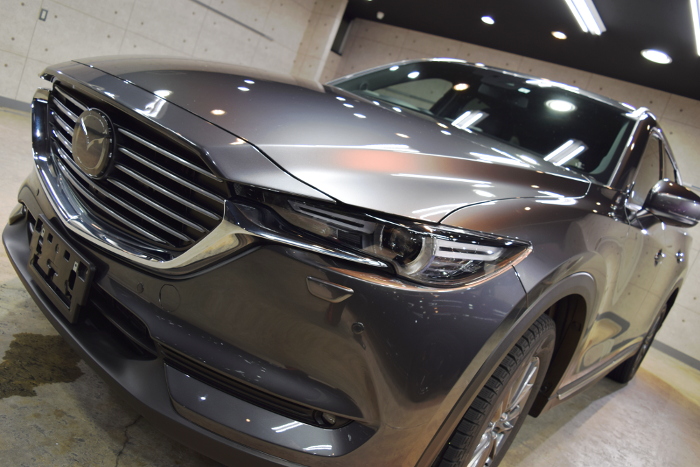 2019.1.6.cx8.01.jpg