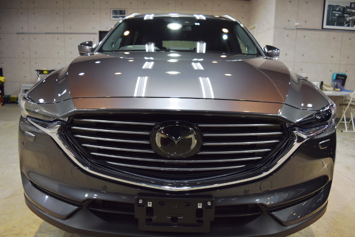 2019.1.6.cx8.02.jpg