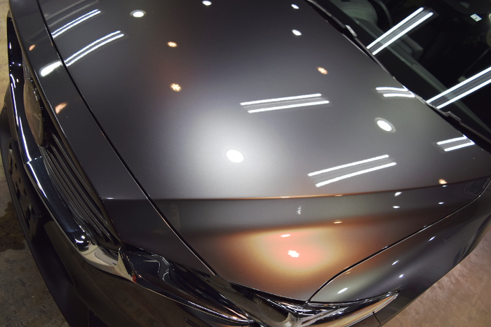 2019.1.6.cx8.05.jpg