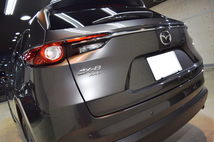 2019.1.6.cx8.11.jpg