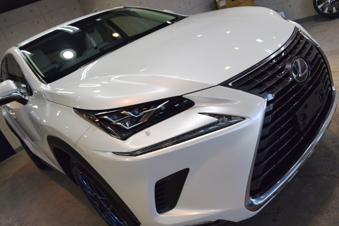 2019.3.6.nx.01.jpg