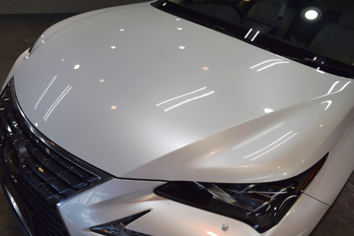 2019.3.6.nx.02.jpg