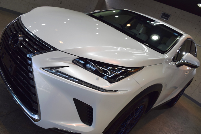 2019.3.6.nx.03.jpg