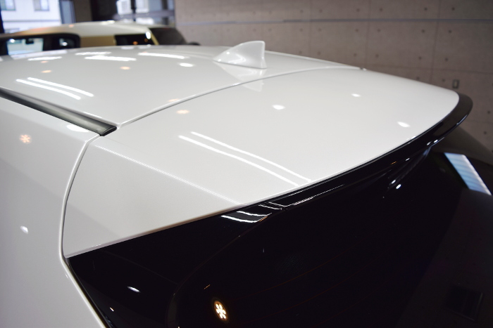 2019.3.6.nx.09.jpg