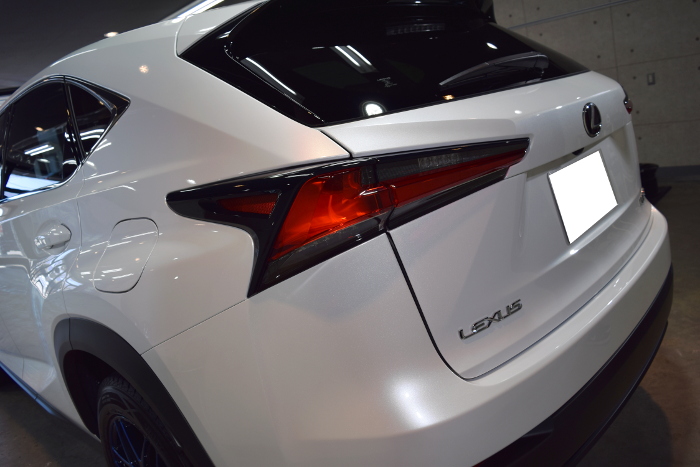 2019.3.6.nx.10.jpg
