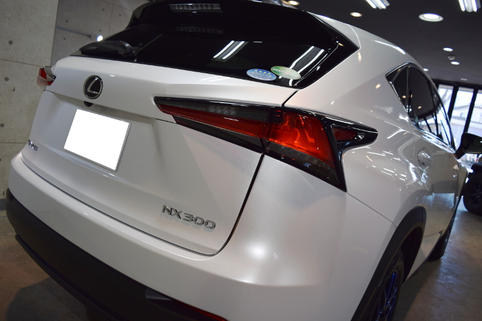 2019.3.6.nx.11.jpg