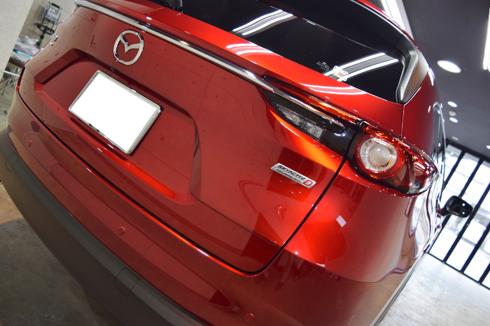 2019.8.31.cx8.11.jpg