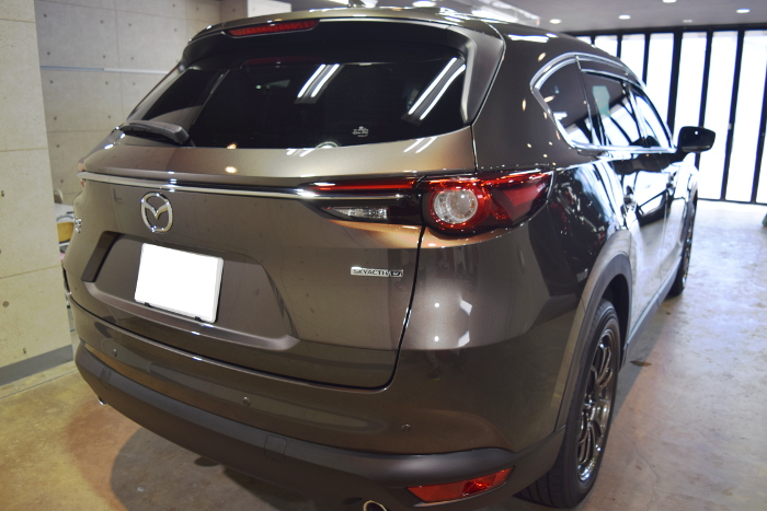 2020.10.25.cx8.11.jpg