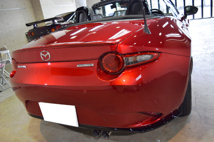 2020.4.5.rd.11.jpg